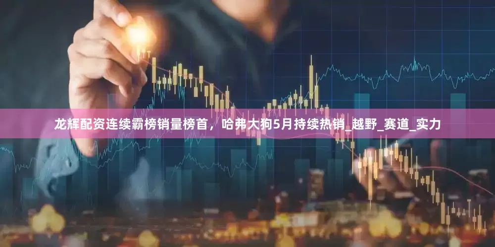 龙辉配资连续霸榜销量榜首，哈弗大狗5月持续热销_越野_赛道_实力