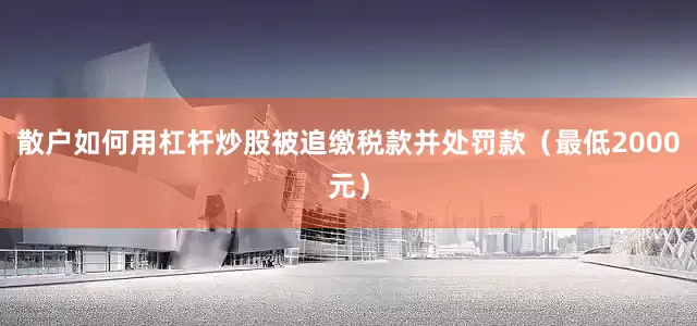 散户如何用杠杆炒股被追缴税款并处罚款（最低2000元）